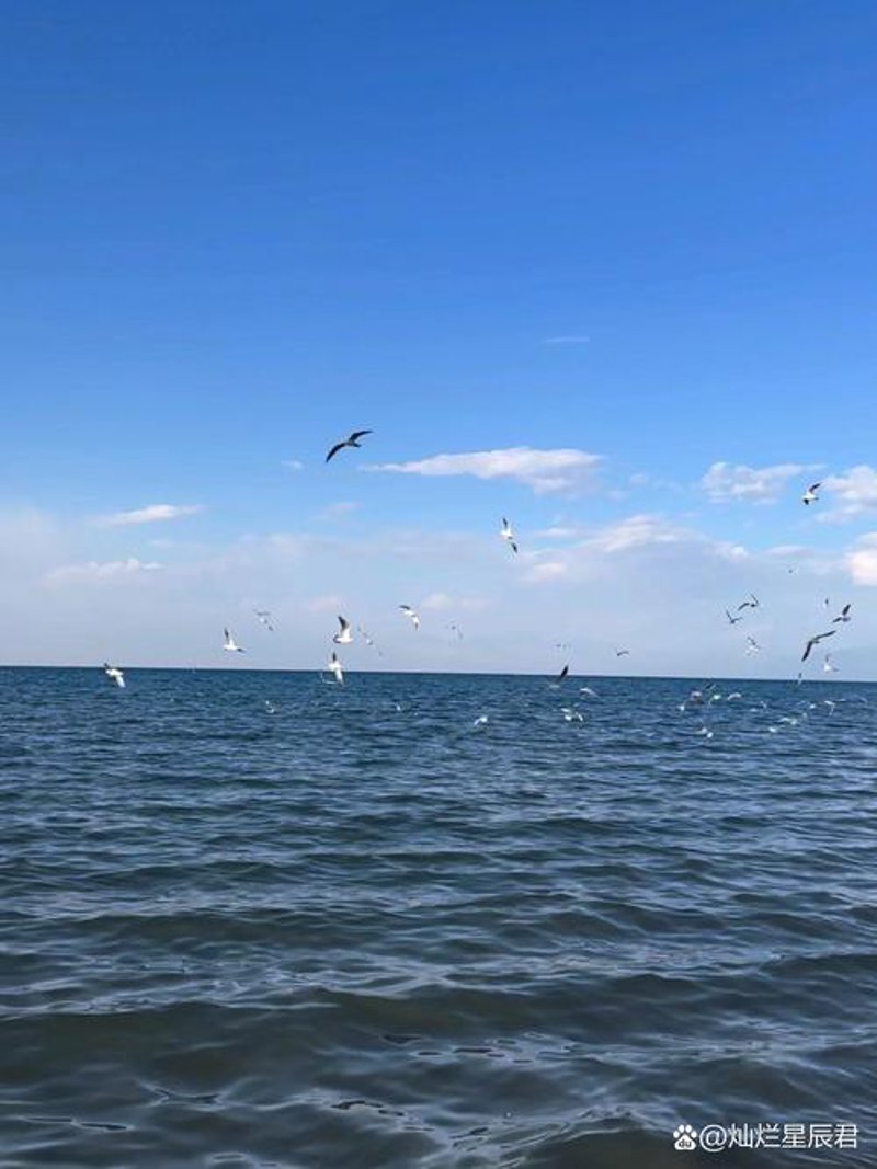博湖县培弦